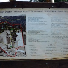 Ogród