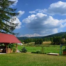 Ogród