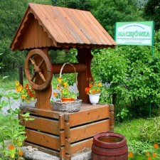 Ogród